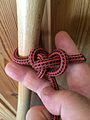 Falconer's knot 6 : Locked with free end through slip