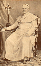 Papst Pius IX.